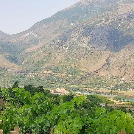 Goliku Vila Pestani