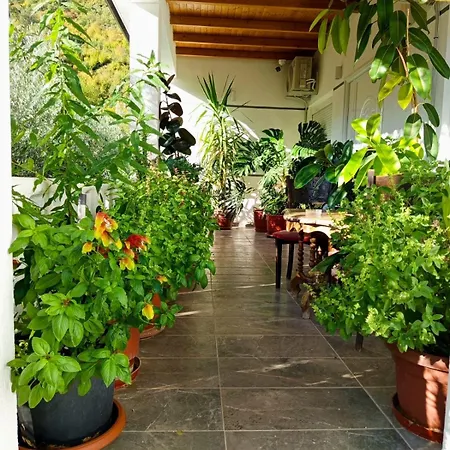 Goliku Villa *