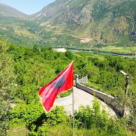Goliku * Pestani